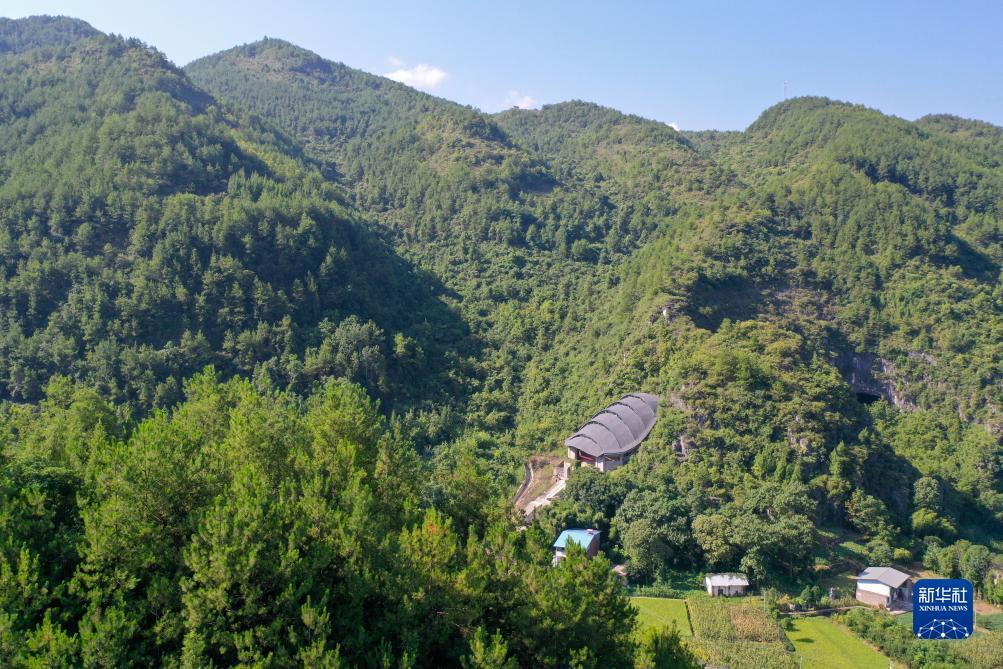 gd平台澳门威尼斯人